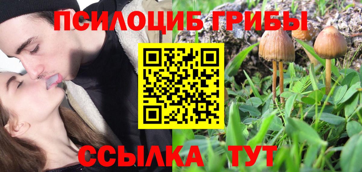 Галлюциногенные грибы мухоморы Корсаков
