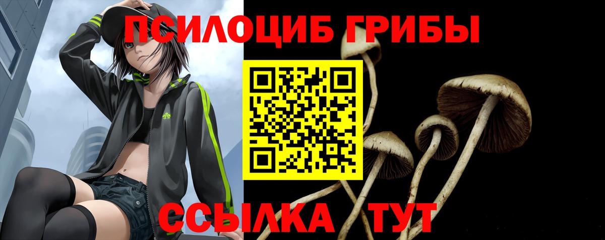 Корсаков  Псилоцибиновые грибы Cubensis  Вход с VPN  Галлюциногенные грибы MAGIC MUSHROOMS 